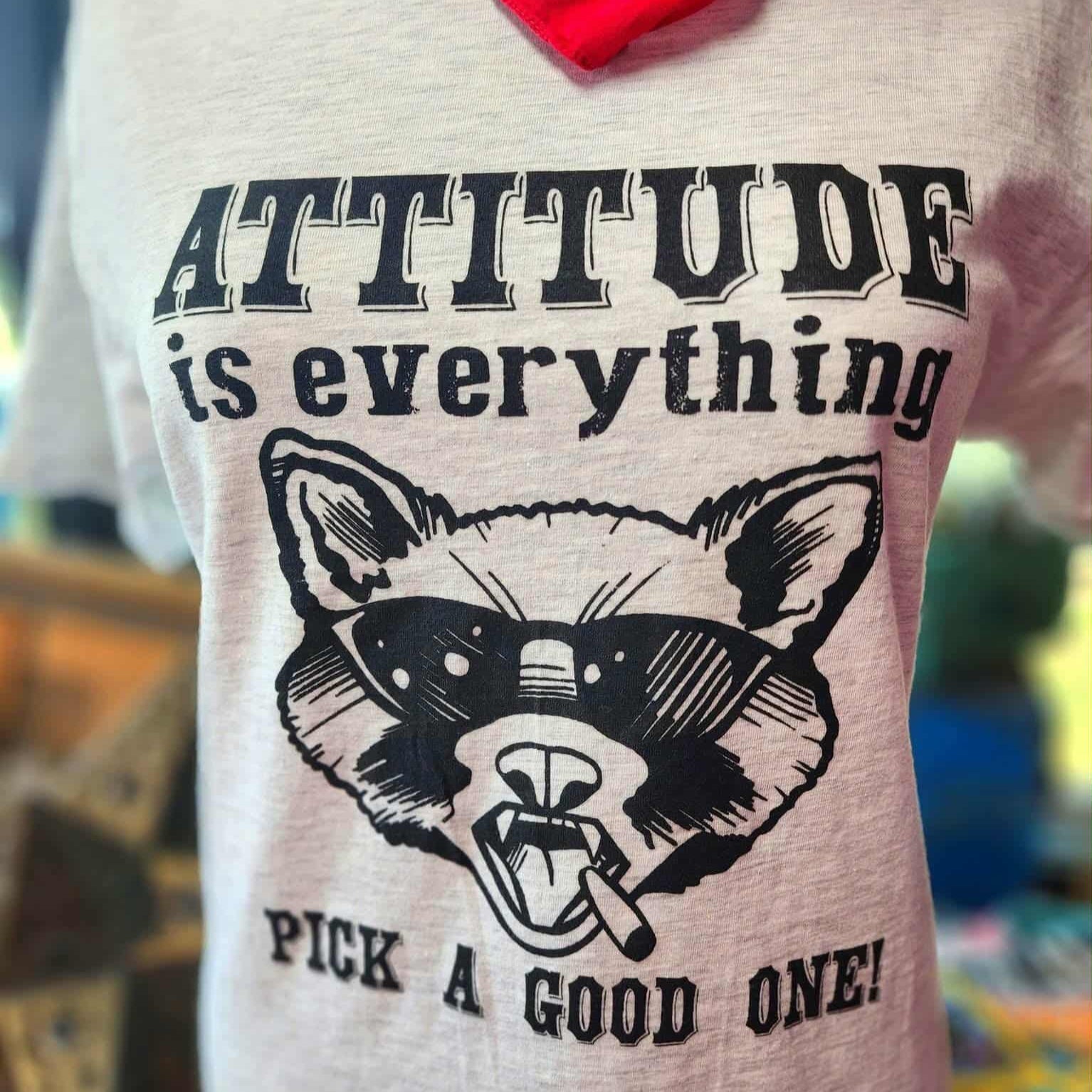 ATTITUDE IS EVERYTHING PICK A GOOD ONE - SSCT