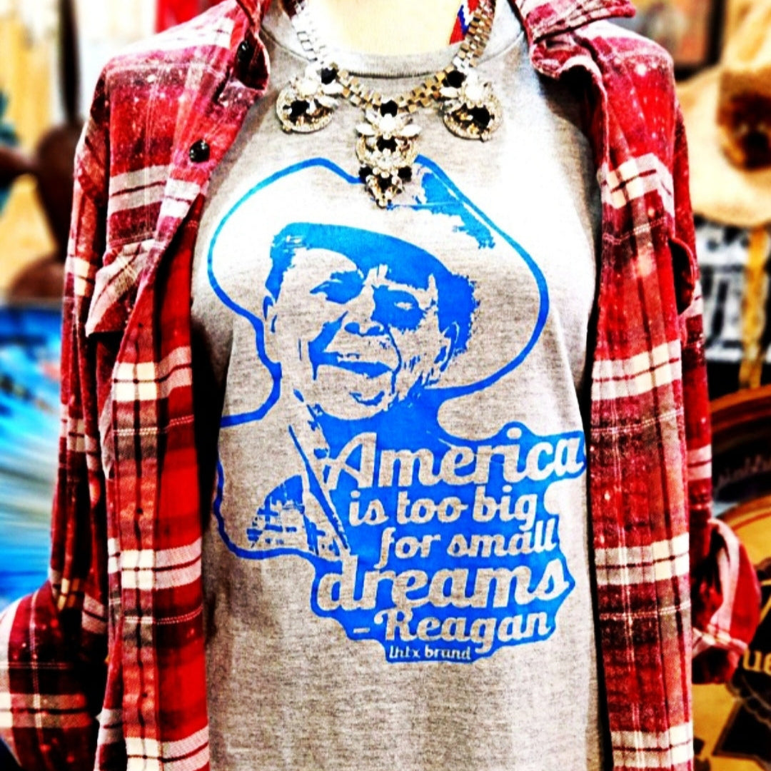 AMERICA IS TOO BIG FOR SMALL DREAMS - REAGAN - SSCT